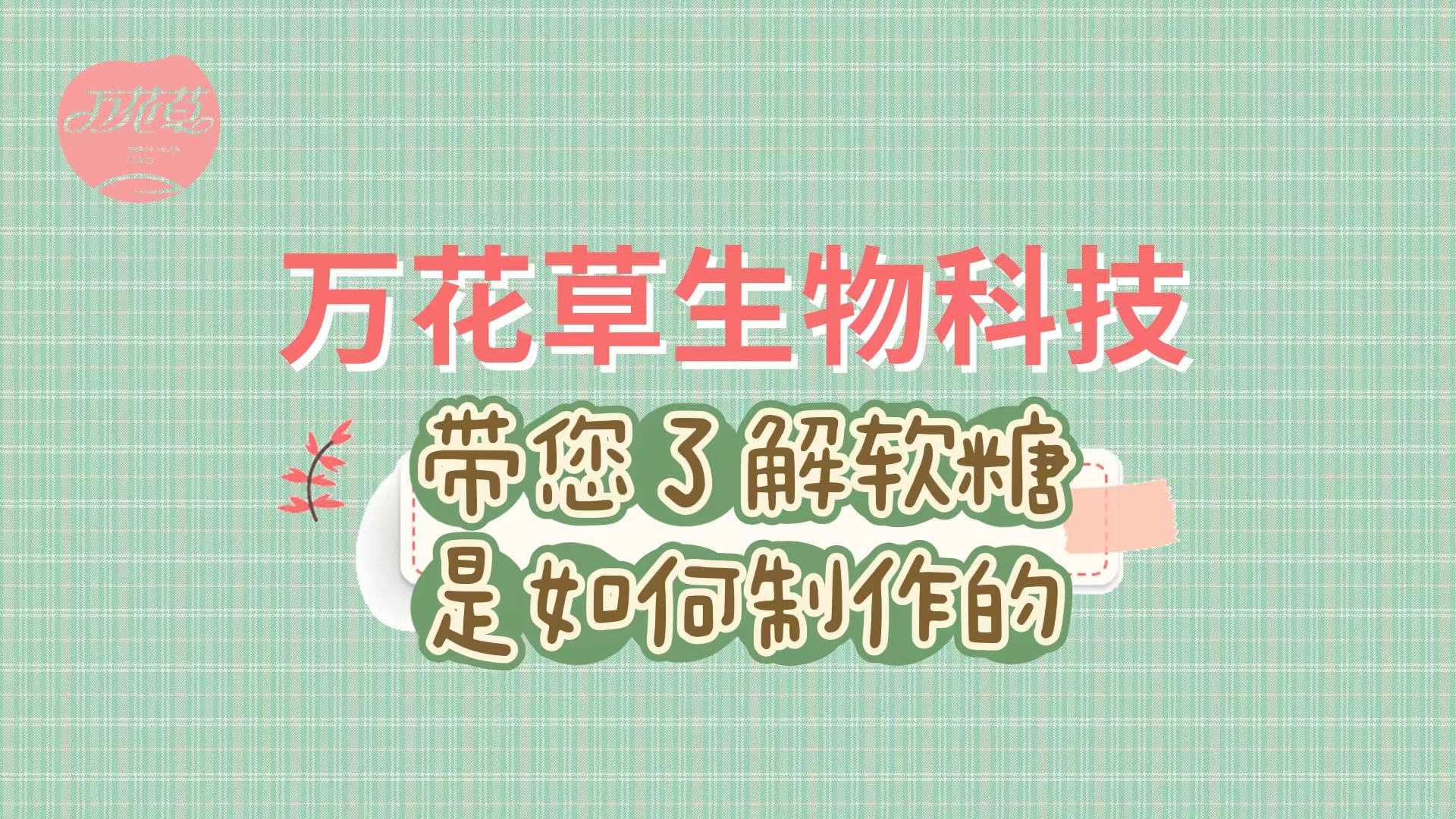 軟糖代加工生產工藝流程，帶您了解糖果是如何制作的